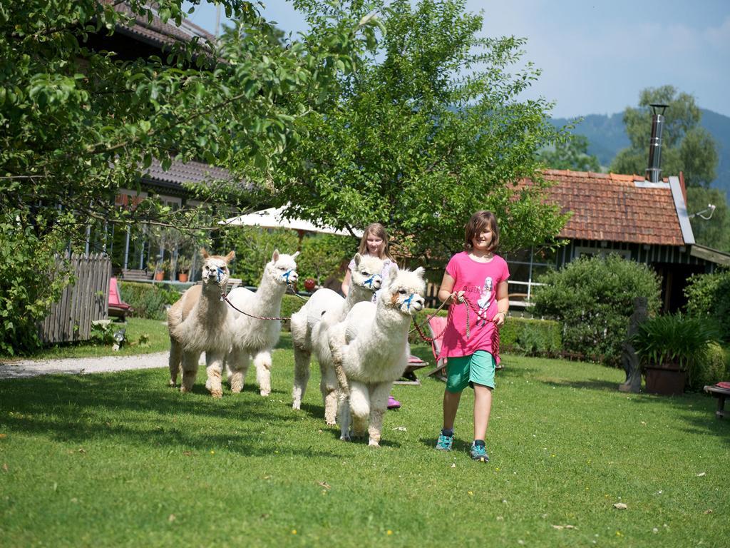 Landhaus Benediktenhof Bad Tölz Pokoj fotografie